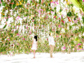 日本交互式漂浮花园