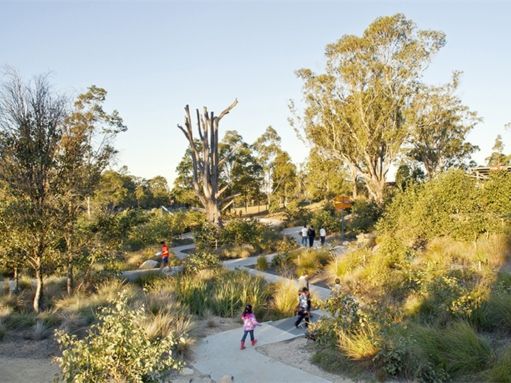 小型雨水收集资料下载-澳大利亚Lizard Log公园绿地