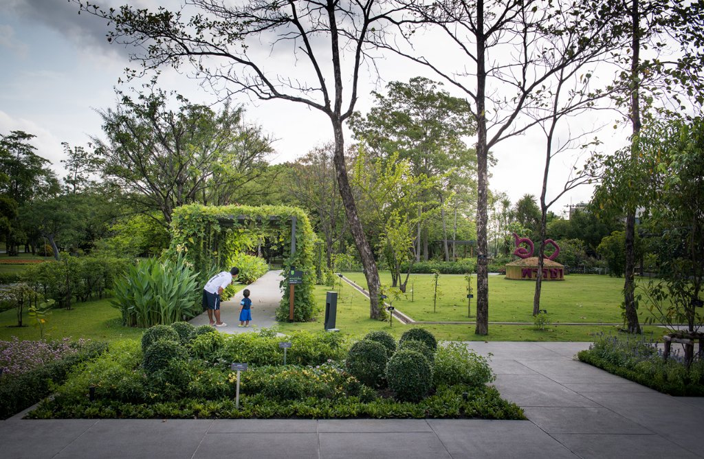 泰國藥用植物園景觀