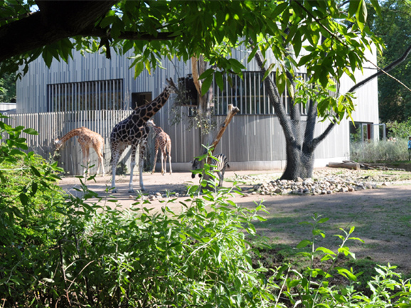 德国dresden动物园