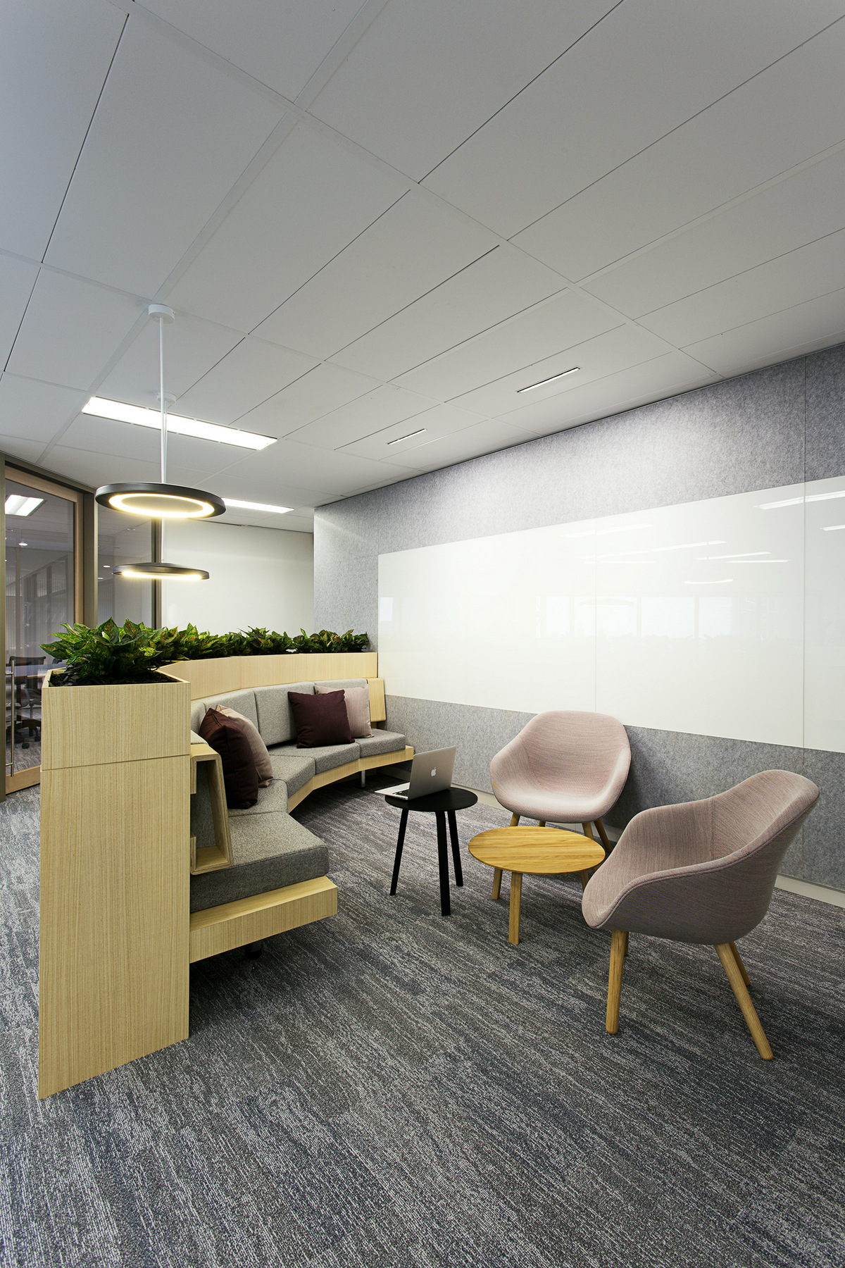 悉尼novion property集团公司办公室