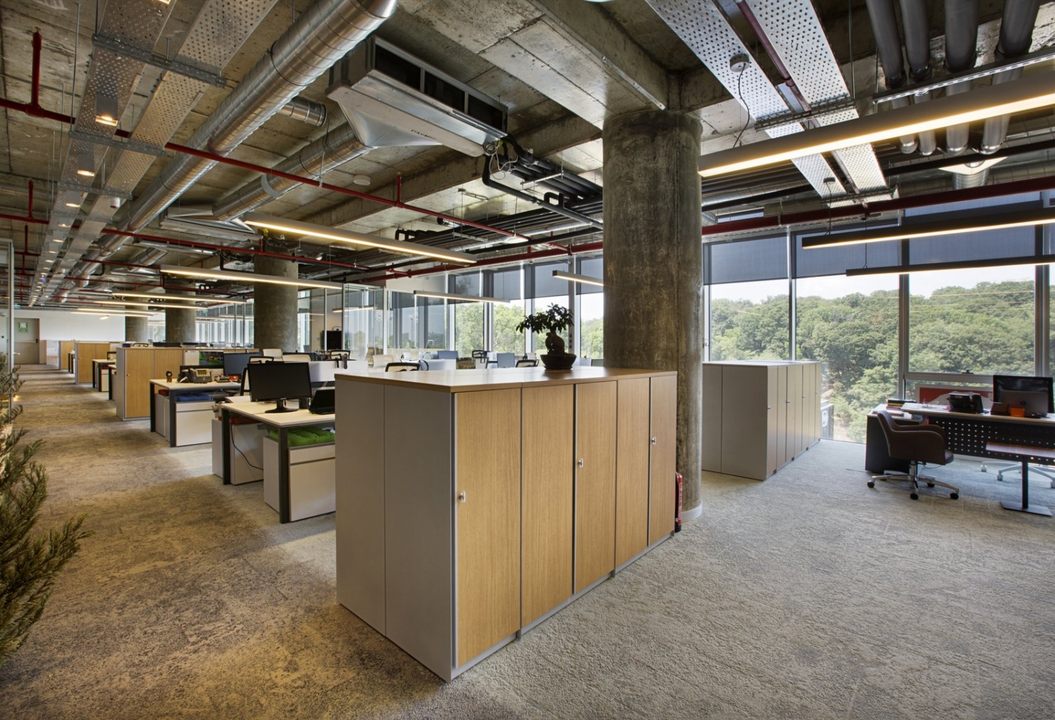 伊斯坦布尔inteltek公司办公室室内实景图