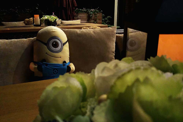 对嘴摇滚兔啤酒屋