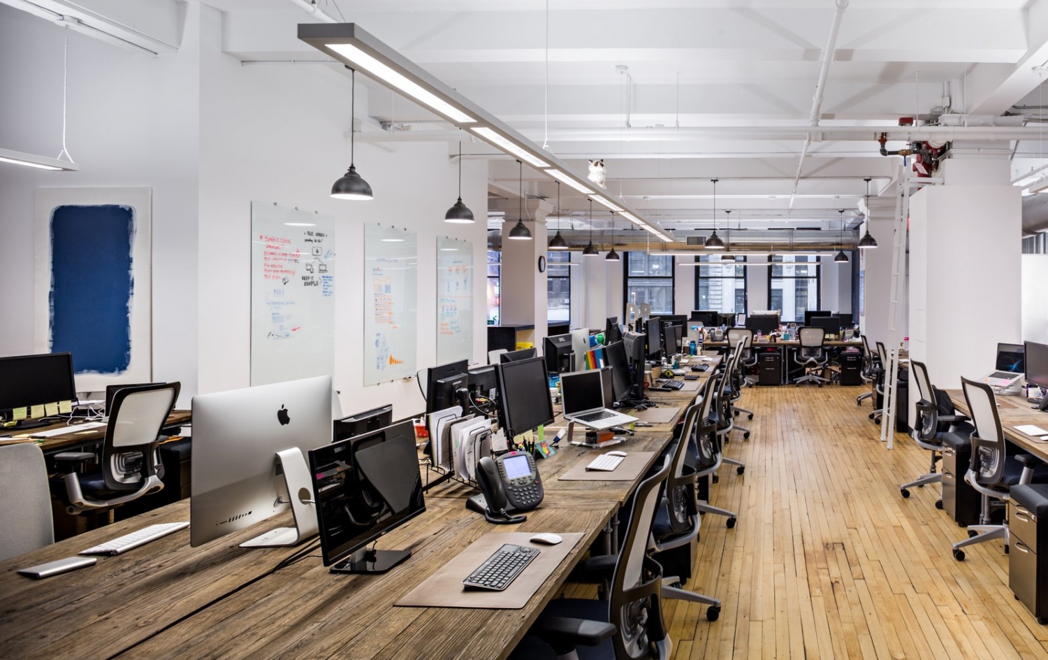 美国daily burn公司办公室