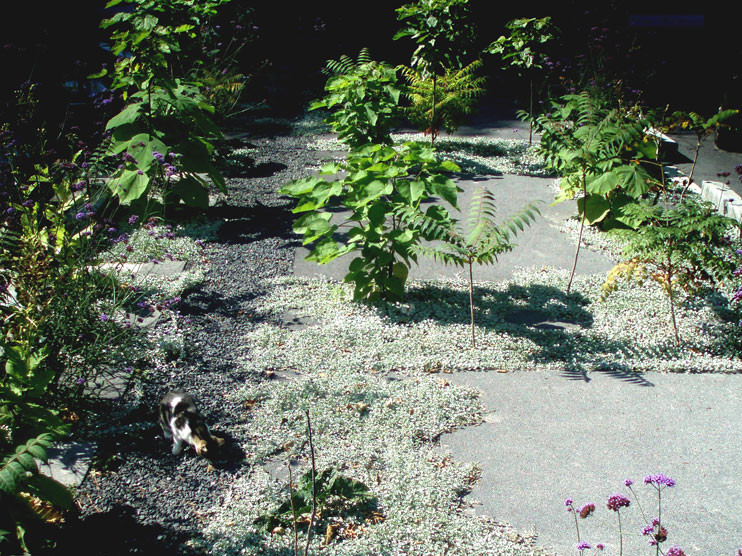 比利时Boerenhol花园