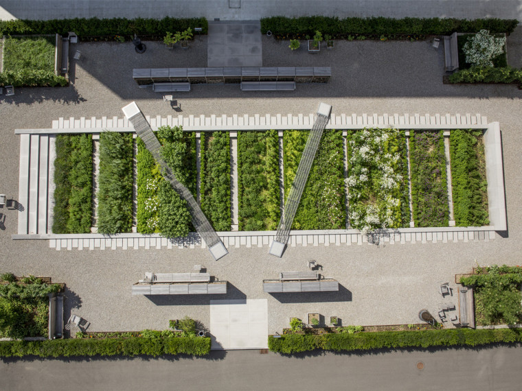 里面植物cad资料下载-瑞士诺华制药公司药用植物园