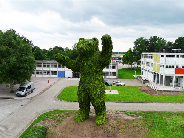 景观绿化植物搭配资料下载-荷兰植物熊街头艺术作品