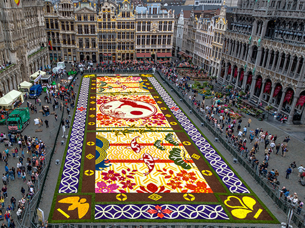 鲜花模型下载资料下载-比利时布鲁克林广场鲜花地毯