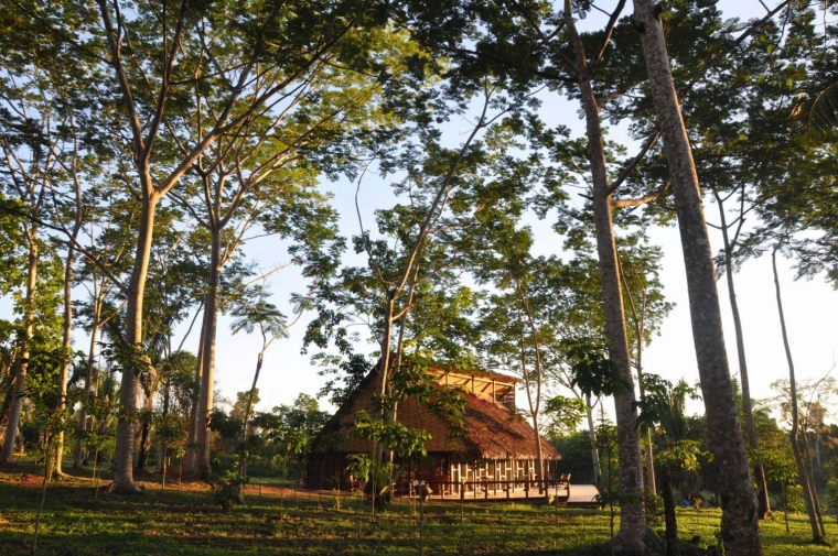 秘鲁AniNiiShobo山林小屋外部实景-秘鲁AniNiiShobo山林小屋第6张图片