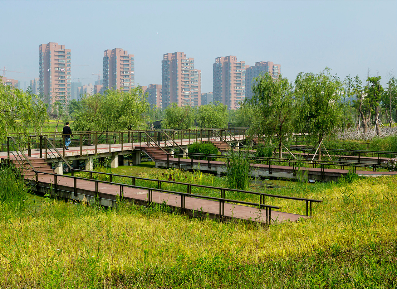宁波鄞州生态走廊图片