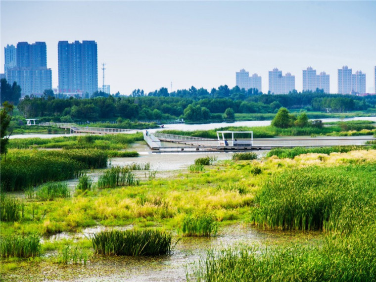 惠州江北文化艺术中心资料下载-哈尔滨文化中心湿地公园