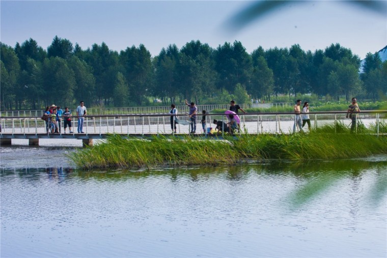 哈尔滨文化中心湿地公园外部实景-哈尔滨文化中心湿地公园第3张图片