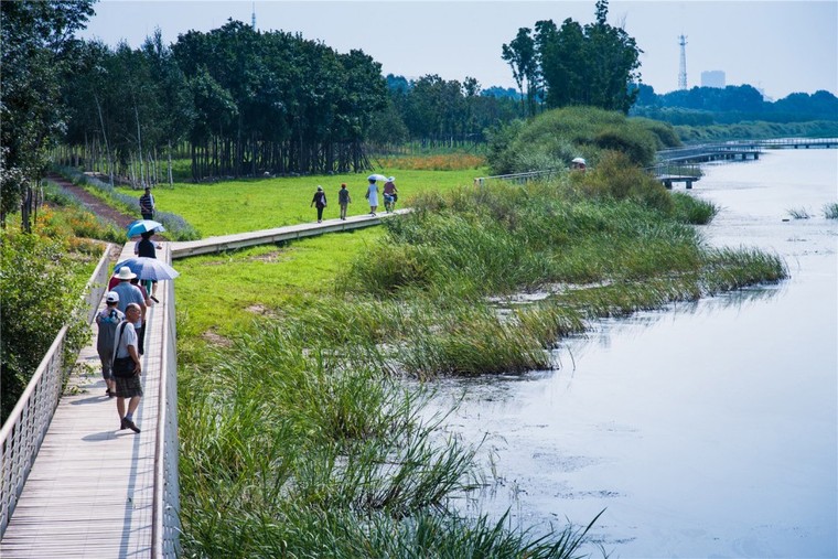 哈尔滨文化中心湿地公园外部实景-哈尔滨文化中心湿地公园第4张图片