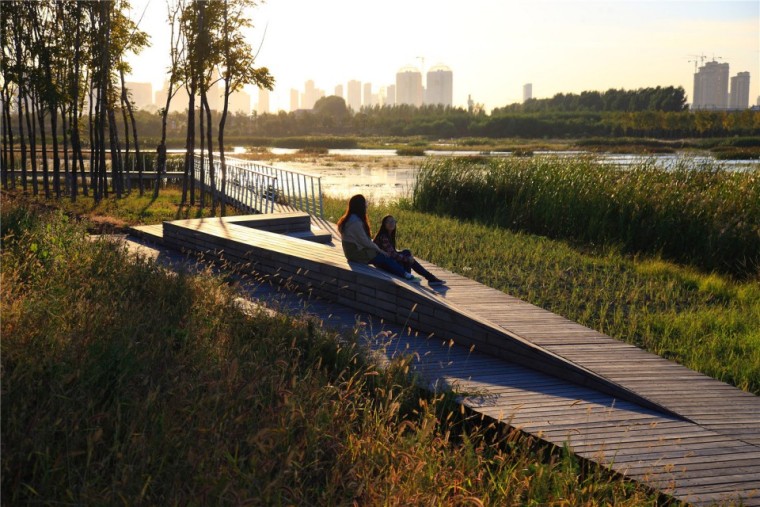 哈尔滨文化中心湿地公园外部实景-哈尔滨文化中心湿地公园第8张图片