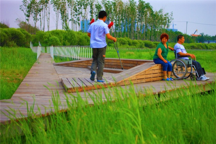 哈尔滨文化中心湿地公园外部实景-哈尔滨文化中心湿地公园第9张图片