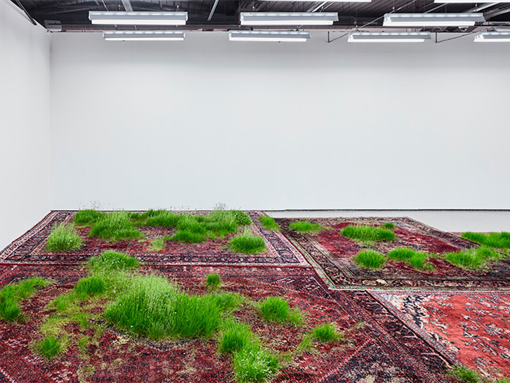 室内空间模型展览资料下载-韩国文化中心室内波斯毯上绿色空间