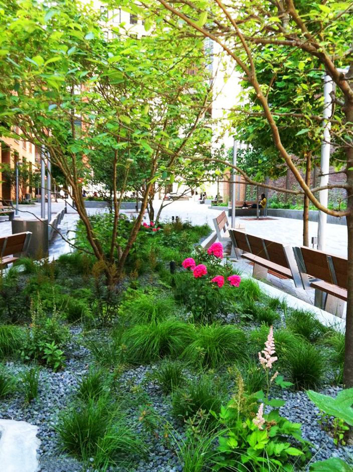 美国比克曼街广场景观