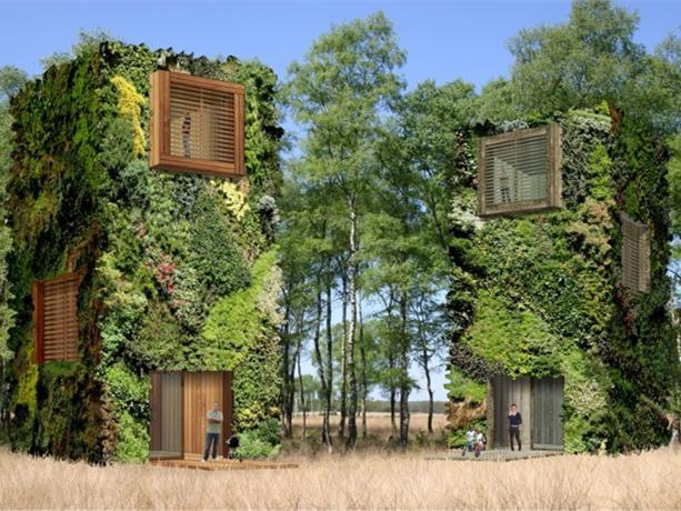 树林住宅