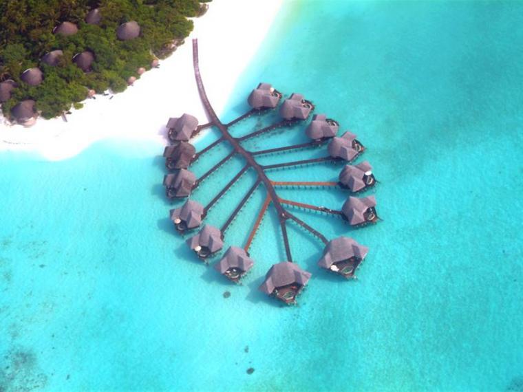马尔代夫风格温泉资料下载-马尔代夫可可椰子酒店