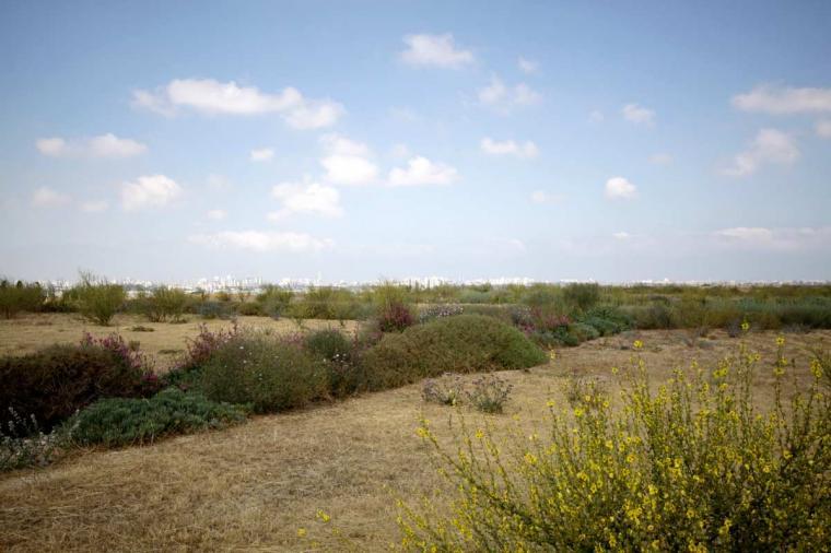以色列城市垃圾填埋池外部实景图-以色列城市垃圾填埋池第6张图片