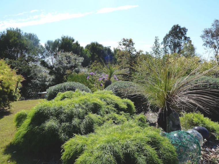 澳洲花园景观设计资料下载-澳大利亚山谷花园