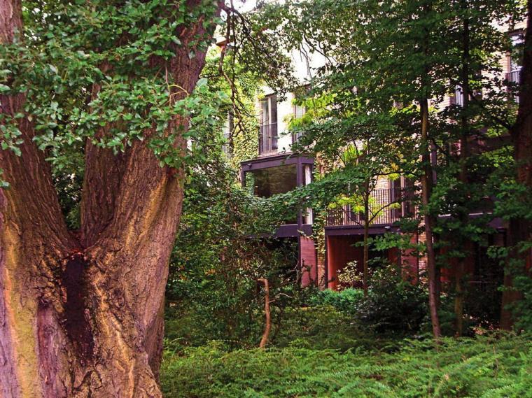 创意花园微景观资料下载-英国剑桥协和住宅景观