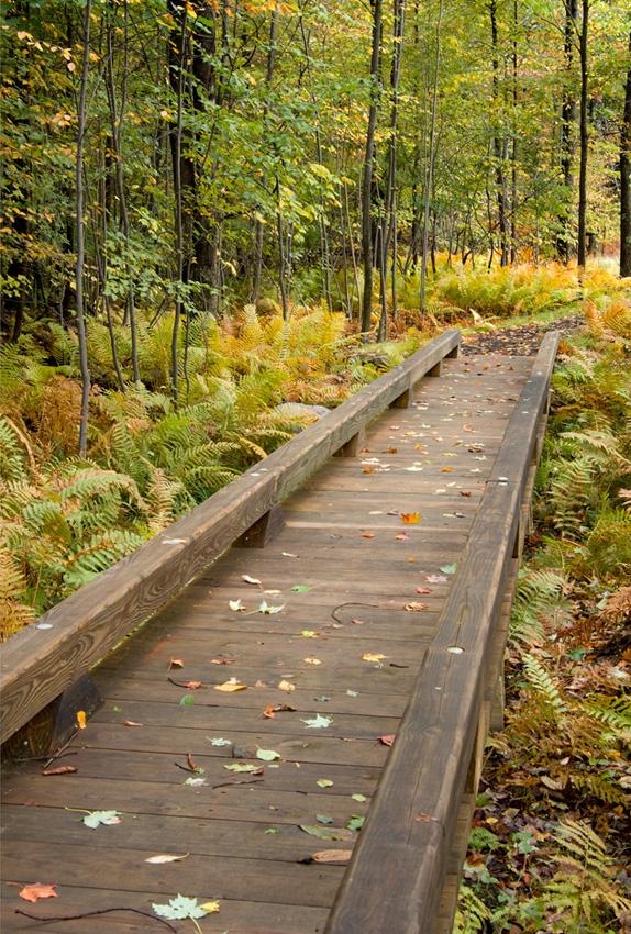 美国lodestone高尔夫球场