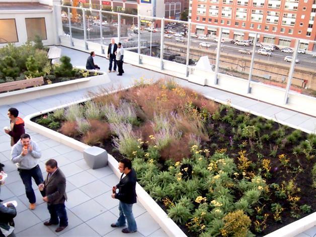 纽约曼哈顿住宅高层花园资料下载-美国住宅屋顶公花园