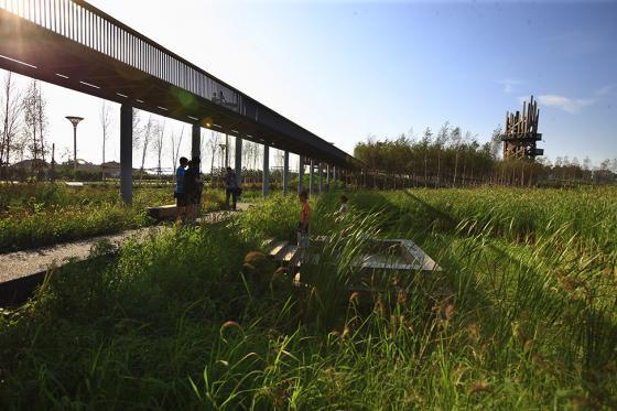 哈尔滨群力国家城市湿地外部实景-哈尔滨群力国家城市湿地第13张图片