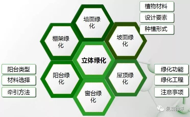 立体绿化的植物资料下载-干货|立体绿化的分类与营造方式