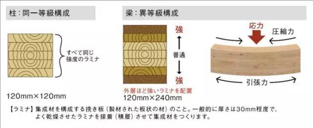 日本领先世界的钢木组合结构建造技术，百张高清大图，值得收藏！_3