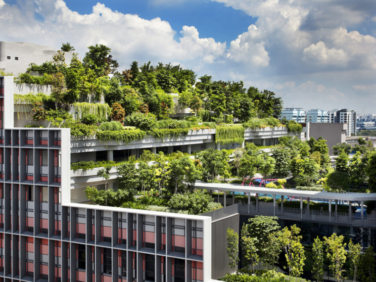 新加坡圣淘沙规划设计资料下载-景观精选11月资料+案例[超强合集]