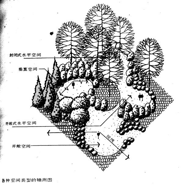 你以为我设计的是植物？我设计的是空间！_52