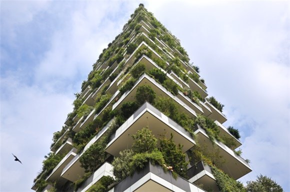城市建筑应该覆盖绿植的N个理由-T1.LETBKCT1RCvBVdK.jpg