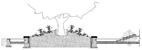 树池结构图资料下载-树台结构图二
