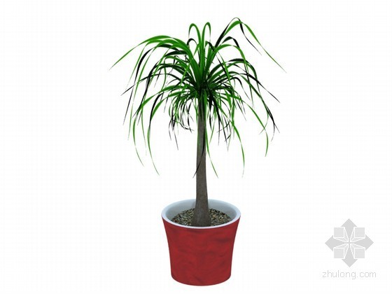 景观植物su3D模型资料下载-室内盆栽植物3D模型下载