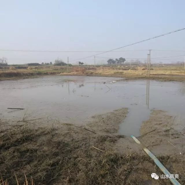 消除区域黑臭水体——河塘河道清淤工程_25