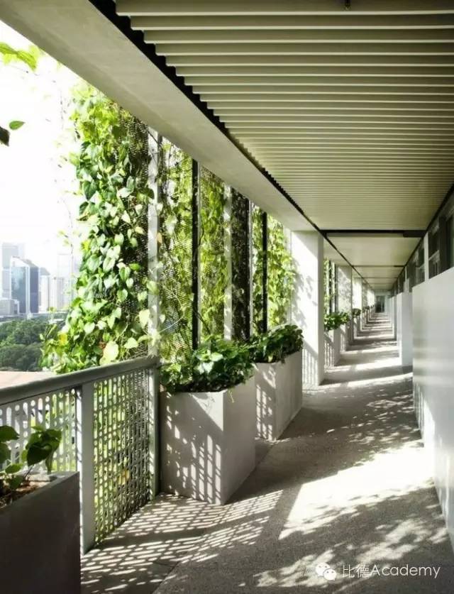 为什么全世界都向新加坡学习垂直绿化_59