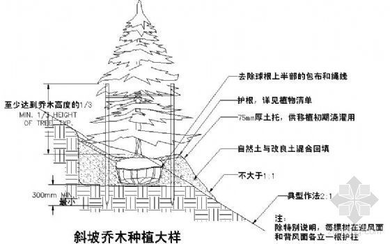 斜坡支架资料下载-斜坡乔木种植大样