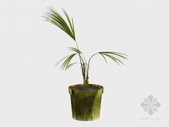 室内盆景绿植资料下载-清新绿植3D模型下载