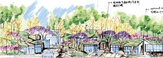 [四川]生态郊野公园景观规划设计方案-景观立面图 