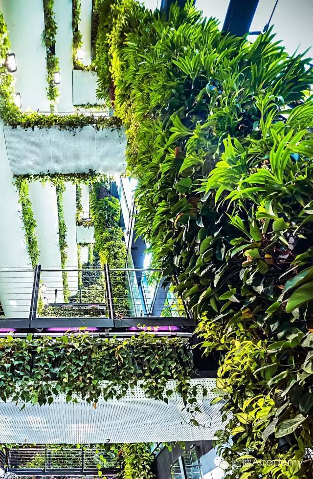 震惊了！新加坡的垂直绿化建筑 ..._49