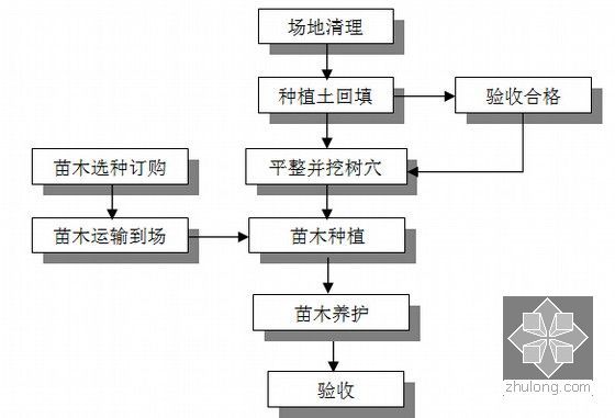 [广东]市政道路水泥路面加铺两层沥青及绿化提升改造工程总体施工组织设计108页-绿化施工流程