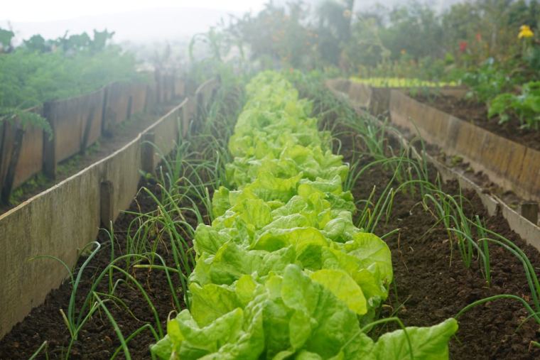 景观工程量估算资料下载-园林景观工程成本造价控制探讨（干货，首发）