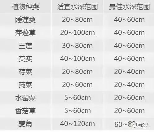 湿地景观|滨水景观与生态景观的共同设计_10