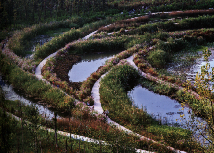 ”雨水公园“雨水管理在景观设计中的应用-公园雨洪管理