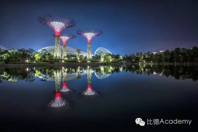 为什么全世界都向新加坡学习垂直绿化_30
