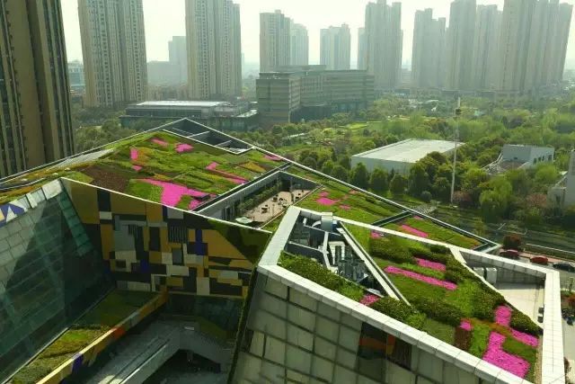 天津南开大学学生活动中心资料下载-屋顶花园植物搭配原则详解