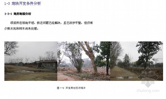 [武汉]房地产住宅项目可行性研究报告(经济测算)-地形地貌分析 