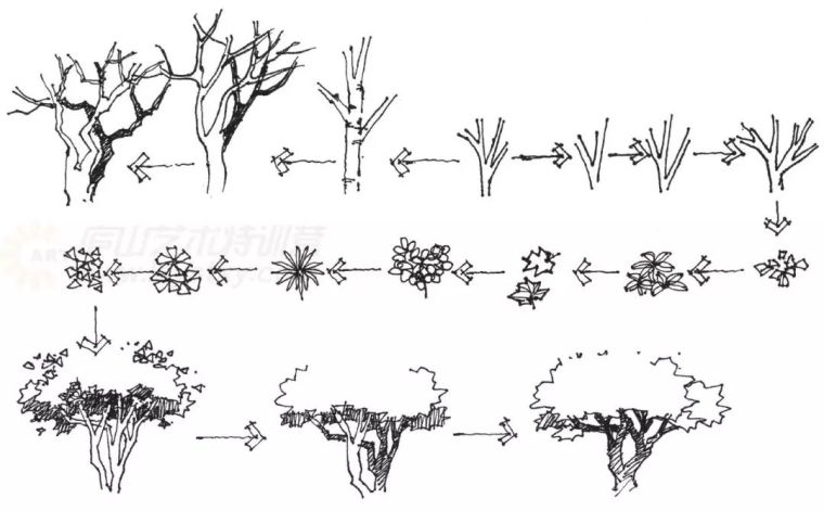 作为景观设计师必须掌握的景观线稿表现_5